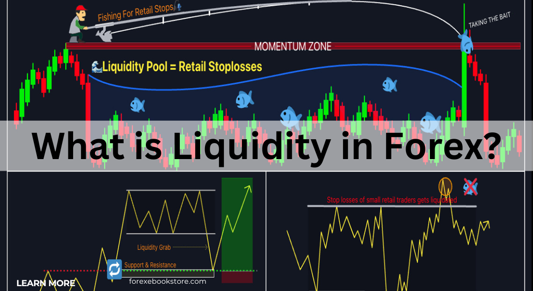 What is Liquidity in Forex